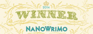 Winner-2014-Web-Banner write