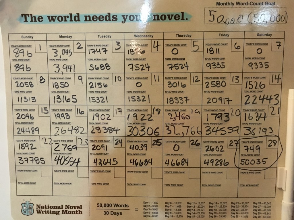 NaNoWriMo 2015